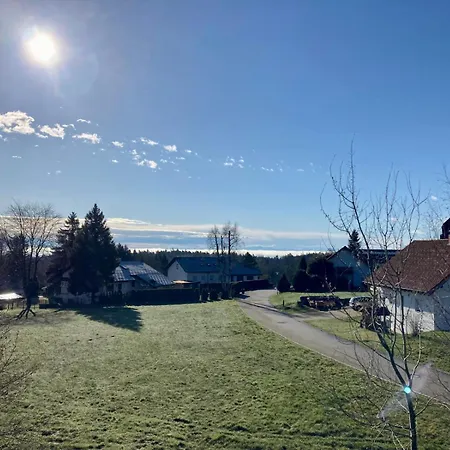 Haus Hanni Guest house