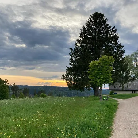 Haus Hanni Gasthof