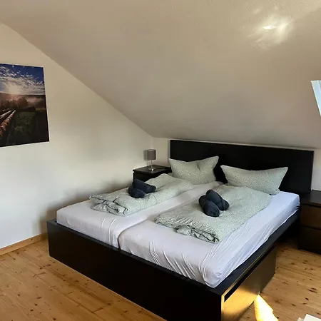 Pensión Haus Hanni 3*